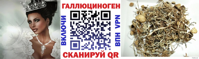 кракен зеркало  Луховицы  Галлюциногенные грибы Psilocybe  где купить наркоту 