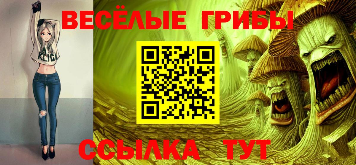 Псилоцибиновые грибы Psilocybe  Вход с VPN  Галлюциногенные грибы GOLDEN TEACHER  Луховицы 